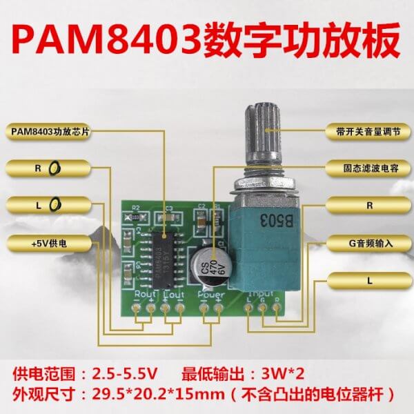 PAM8403-pinout-600x600.jpg